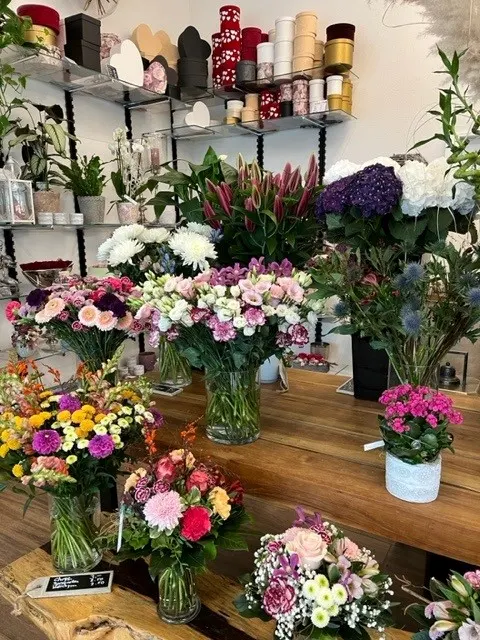 BlumenPlanet Schlieren, Florist 8952 Schlieren