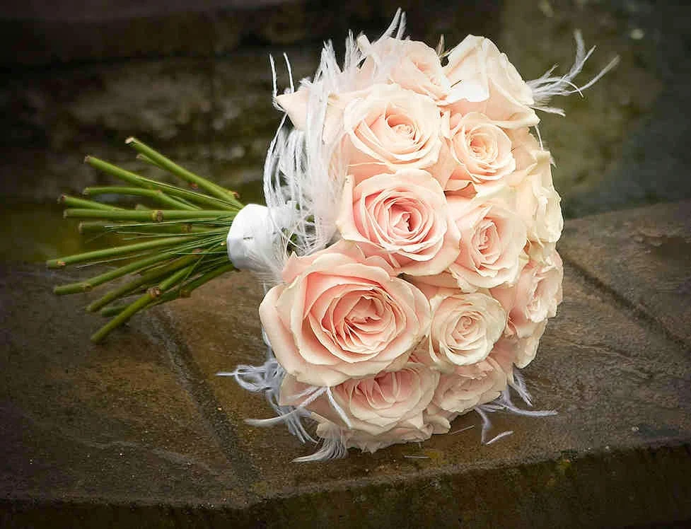 Blumen-Prinz GmbH, Florist Dietikon 8953